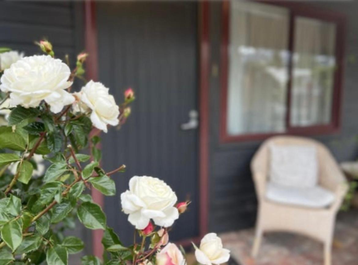#2 Glenorchy Alpine Suite Bagian luar foto
